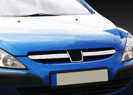 Lining on the grille (2001-2005, 2 PCs, stainless steel) for Peugeot 307 - Reelken Auto