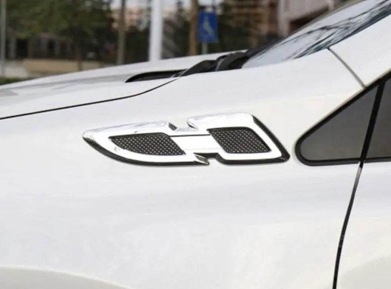 Wing pads Libao 2016-2018 (2 pcs, layer) for Toyota Rav 4 2013-2018 - Reelken Auto