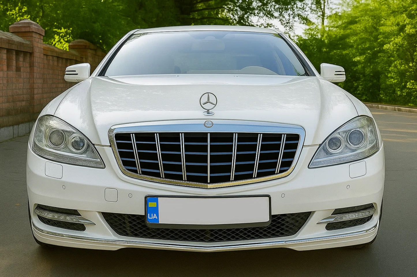 GT Panamericana Front Grille for Mercedes S-сlass W221 2005-2013 - image 1