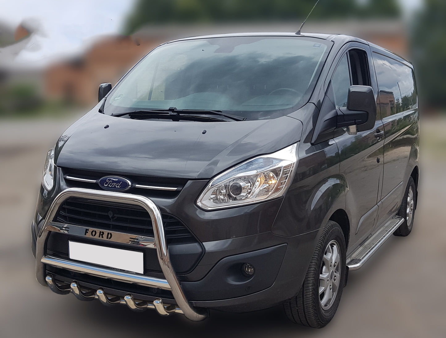 Bull Bar WT006 F1-56 (Stainless Steel) for Ford Custom 2013-2022 - image 1