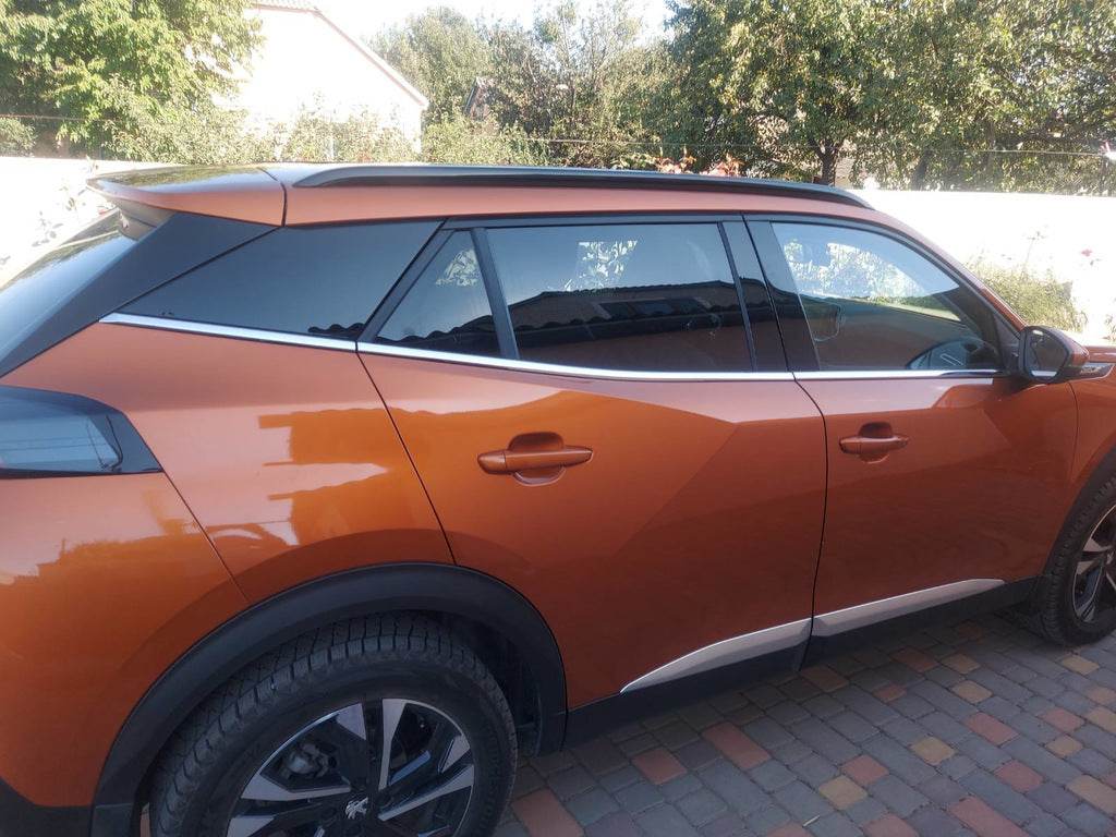 Edging glass (6 PCs, stainless steel) for Peugeot 2008 2019↗︎ - Reelken Auto