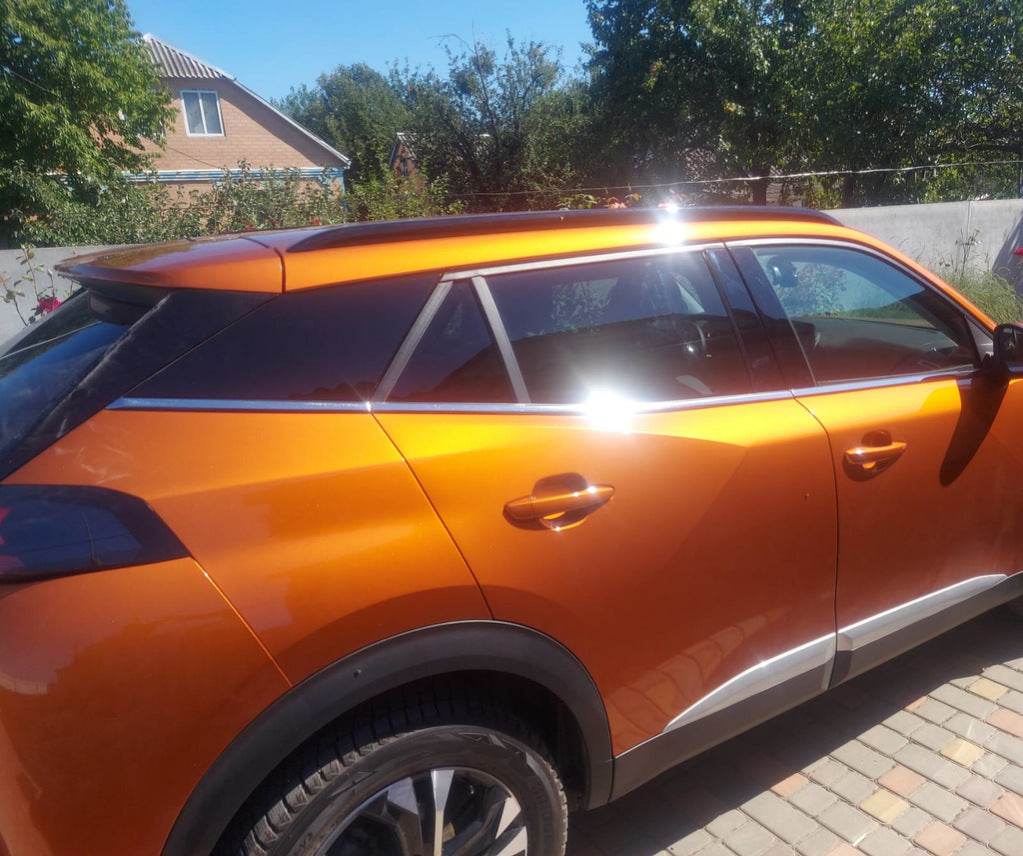 Edging glass (6 PCs, stainless steel) for Peugeot 2008 2019↗︎ - Reelken Auto