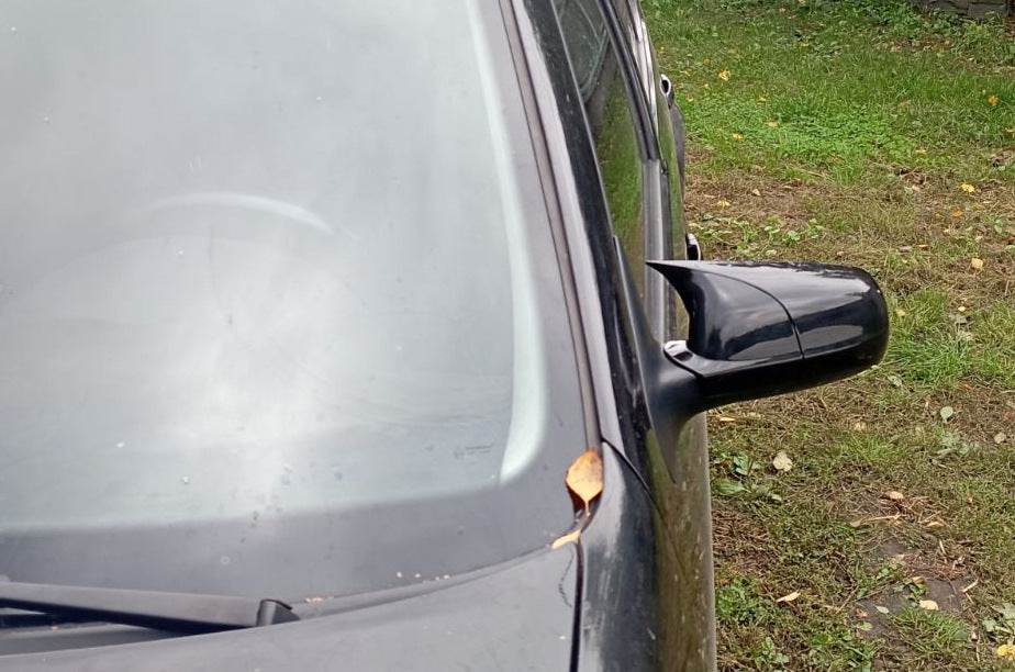 RLine-Look mirror covers (2 pcs) for Volkswagen Bora 1998-2004 - Reelken Auto