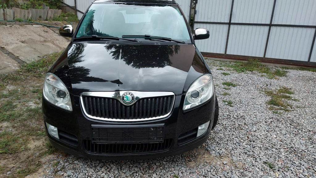 Overlay is not mirror (Carmos, 2 PCs, stainless steel) for Skoda Fabia 2007-2014 - Reelken Auto