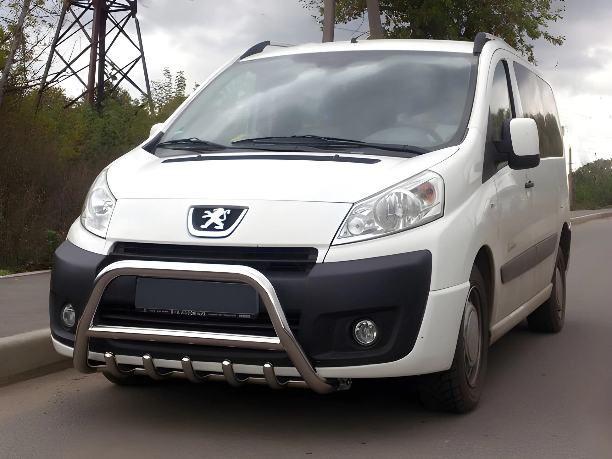 Bull Bar WT003/4 (Stainless Steel) for Fiat Scudo 2007-2015 - image 1
