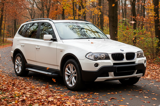 Side Steps Allmond Grey (2 pcs, Aluminum) for BMW X3 E-83 2003-2010 - image 1