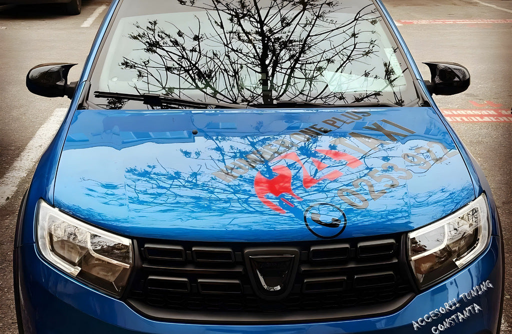 Mirror Covers BMW-Style (2 pcs) for Renault Logan II 2013-2022 - image 7