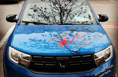 Mirror Covers BMW-Style (2 pcs) for Renault Logan II 2013-2022 - image 7