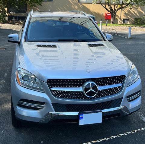 Tuning grille Diamond (for ML) for Mercedes GLE/ML class W166 - Reelken Auto