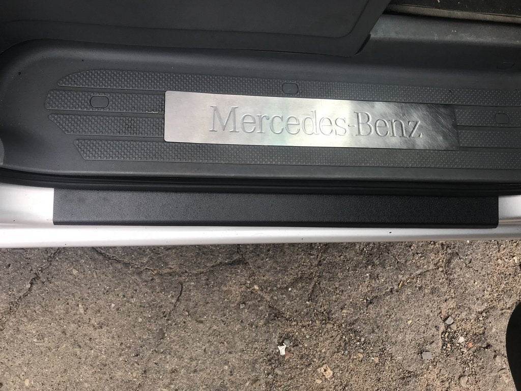 Door sills DDU mat (2 pcs, plastic) for Mercedes Viano 2004-2014 - Reelken Auto