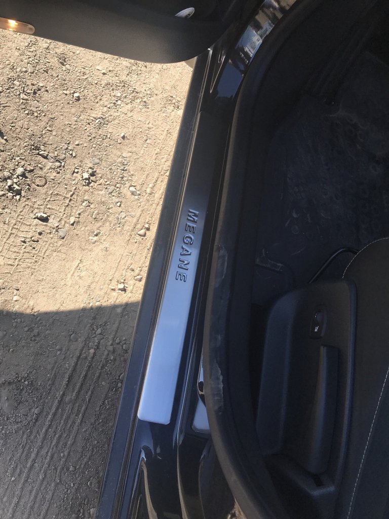 Door Sill Protectors OmsaLine (4 pcs, Stainless Steel) for Renault Megane III 2009-2016 - image 3