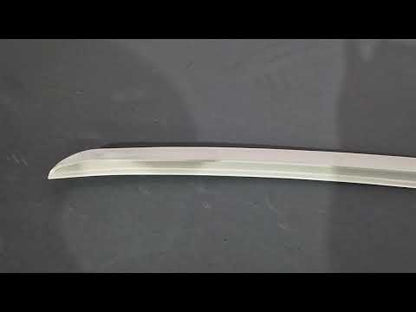 DPT Spoiler (primed for painting) for Volkswagen Passat B8 2015-2023 - video 1