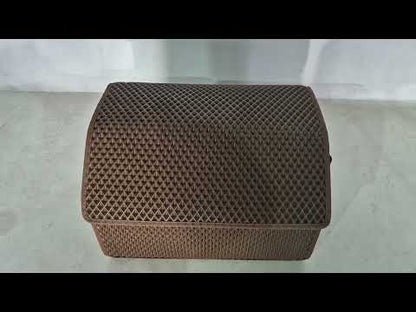 Trunk Organizer Bag EVA (Brown) - video 1