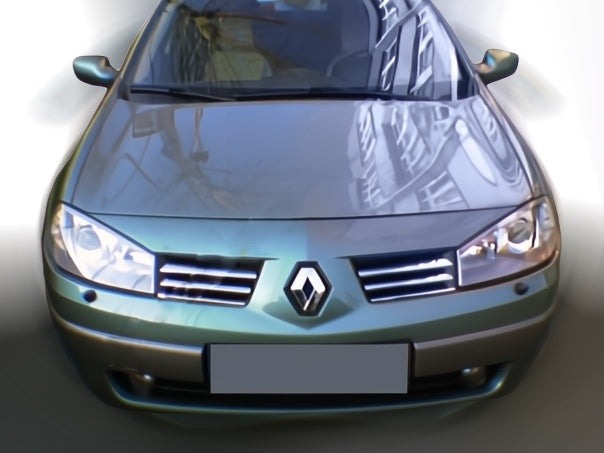Scuff grille (model 2004-2006, 6 pcs, stainless steel) for Renault Megane II 2004-2009 - image 1