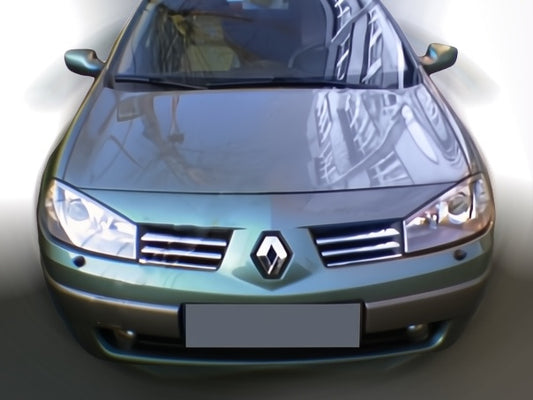 Scuff grille (model 2004-2006, 6 pcs, stainless steel) for Renault Megane II 2004-2009 - image 1