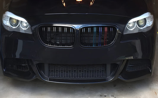 Kidney Grilles M-Look (M-Color) for BMW X1 E84 2009-2015 - image 1
