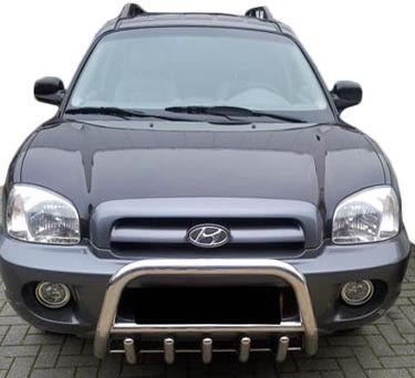 Bull Bar WT003 (Stainless Steel) for Hyundai Santa Fe 1 2000-2006 - image 1