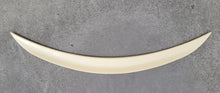 P-Style Spoiler (for F22, primed for painting) for BMW 2 Series F22/F23 2014-2021 - image 2