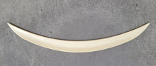 P-Style Spoiler (primed for painting) for BMW 2 Series Gran Coupe F44 2020-2024 - image 2
