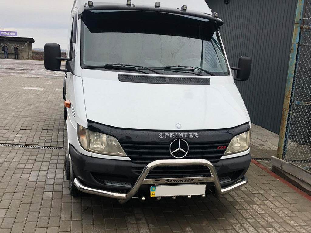 Kangaroo cage with mustache (stainless steel) for Mercedes Sprinter W901/902/903/904/905 1995-2006 - Reelken Auto