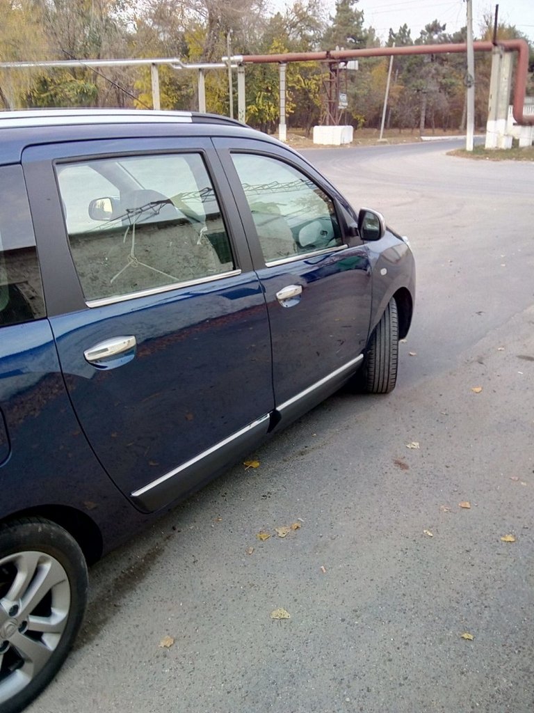 Vikon edging (4-piece, stainless steel.) for Dacia Lodgy 2012-2022 - image 4