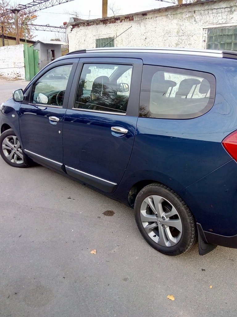 Covers for handles (4 pieces, stainless steel.) for Dacia Lodgy 2012-2022 - image 5