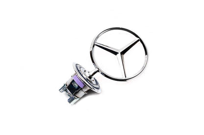 Sight emblem (with inscription) for Mercedes S-class W140 - Reelken Auto