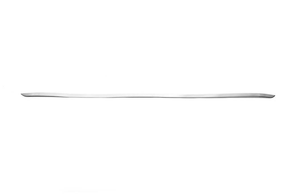The edge of the trunk (HB, stainless.) for Ford Focus II 2008-2011 - Reelken Auto