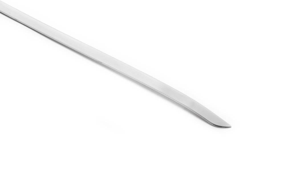 The edge of the trunk (HB, stainless.) for Ford Focus II 2005-2008 - Reelken Auto