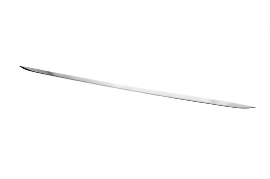 Trunk edge SW (stainless) for Ford Focus IV 2018↗ year - Reelken Auto