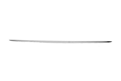 Trunk edge (stainless) for Renault Clio III 2005-2012 - Reelken Auto