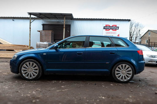 Lower glass moldings (stainless) for Audi A3 2003-2012 - Reelken Auto