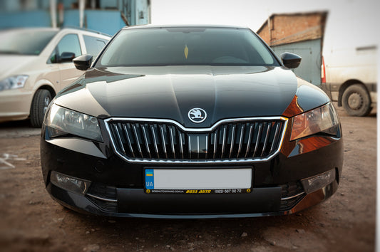 Winter cover on the grille (bottom) for Skoda Superb 2015-2024 - image 1
