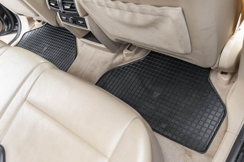 Rubber mats (4 pcs, Stingray Premium) for BMW X5 E-70 2007-2013 - Reelken Auto