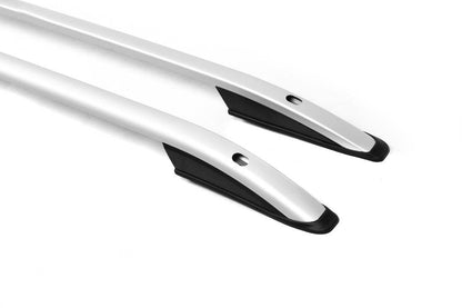 Roof rails Skyport (gray matt) for Citroen Berlingo 1996-2008 - Reelken Auto