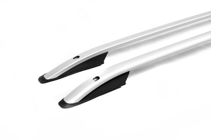 Roof rails Skyport (gray matt) for Citroen Berlingo 1996-2008 - Reelken Auto