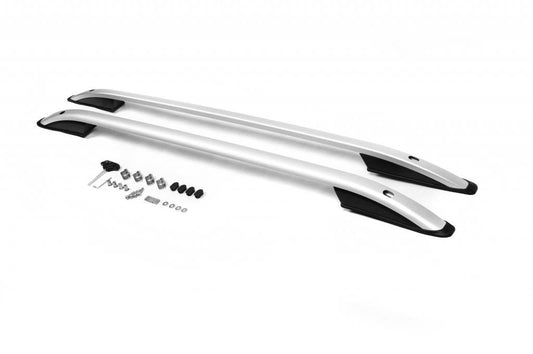 Roof rails Skyport (gray matt) for Citroen Berlingo 1996-2008 - Reelken Auto