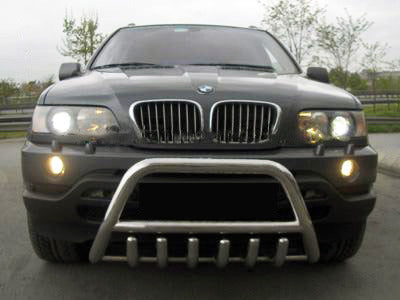 The WT003 bumper guard (stainless) for BMW X5 E-53 1999-2006 - image 1